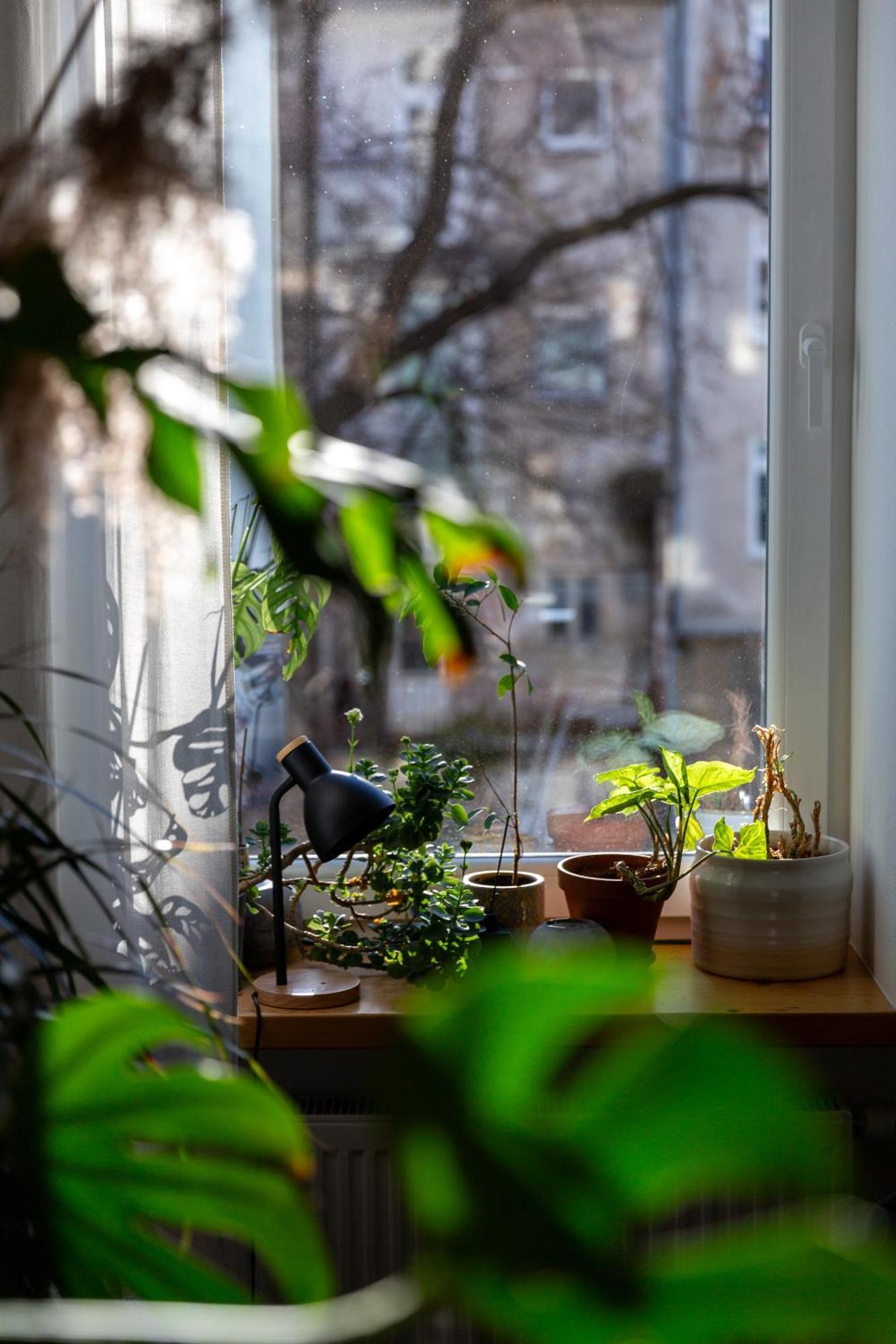 Evergreen - Old Town Spacious Stylish Apartment With Ac And One And A Half Bath, Baby & Kid- Friendly Μπρατισλάβα Εξωτερικό φωτογραφία